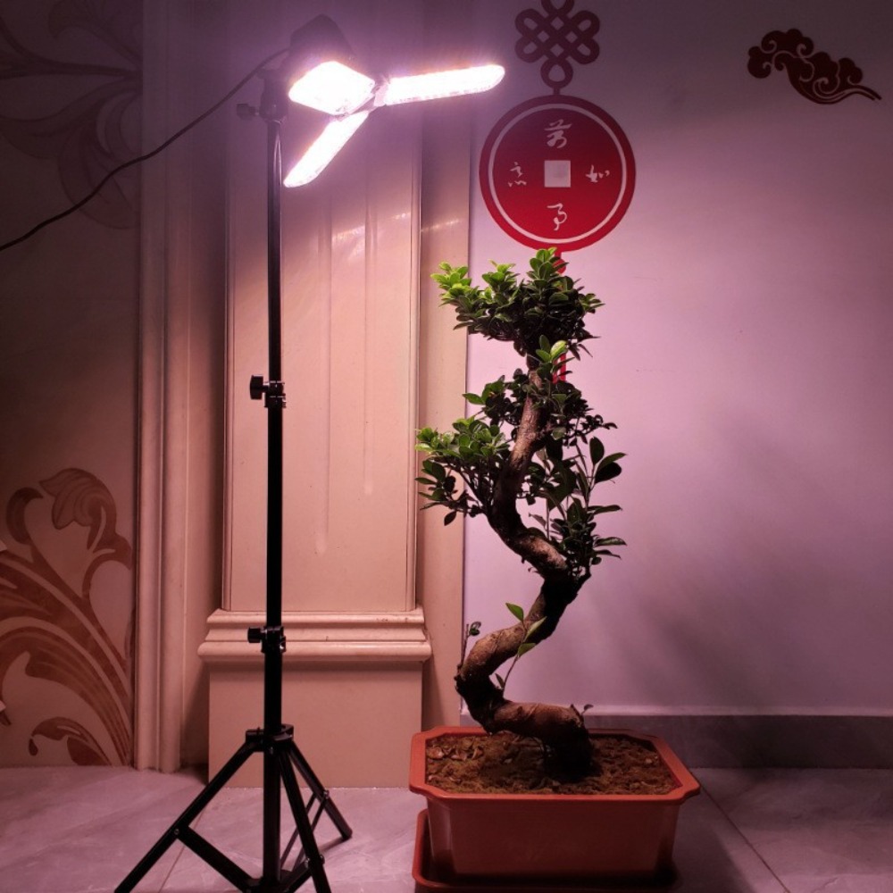 電球スタンド 2M、E27 ACソケット付き傘型ランプホルダ - Photography Lighting Mount のレビューと価格